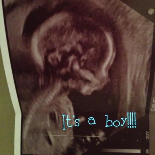 Our newest addition! Expected arrival date - July 2013!